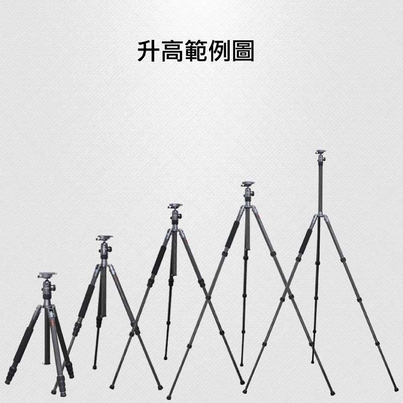 N1SPIC-436020141128-1848365.jpg